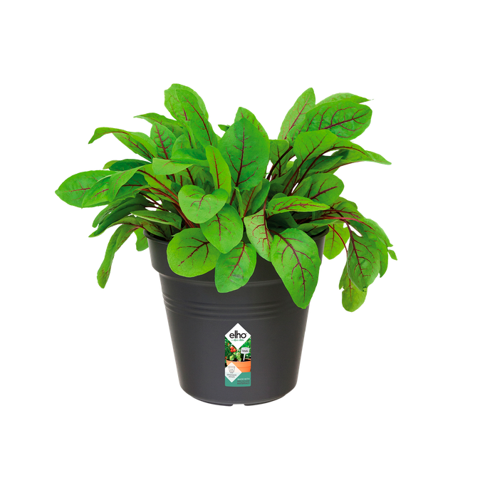 green basics growpot 13cm living black